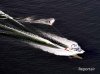 Luftaufnahme SCHIFFFAHRT/Wasserskifahrer - Foto Schiffewassersport3
