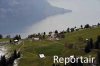 Luftaufnahme Kanton Luzern/Rigi - Foto Rigi 6892