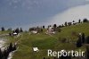 Luftaufnahme Kanton Luzern/Rigi - Foto Rigi 6895