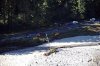 Luftaufnahme HOCHWASSER/Luetschinental - Foto Luetschinental Okt 2011 8470