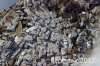 Luftaufnahme Kanton Graubuenden/St.Moritz - Foto St-Moritz 8032