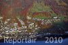 Luftaufnahme Kanton Zug/Walchwil - Foto Walchwil 5150