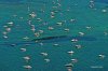 Luftaufnahme SCHIFFFAHRT/Schiffe  bei der Ufenau - Foto Boote UfenauInselschiffe 3362