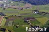Luftaufnahme LANDWIRTSCHAFT - Foto Ruswil 7506