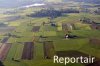Luftaufnahme LANDWIRTSCHAFT - Foto Ruswil 7524