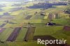 Luftaufnahme LANDWIRTSCHAFT - Foto Ruswil 7525