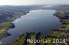 Luftaufnahme Kanton Luzern/Baldeggersee - Foto Baldeggersee 8018