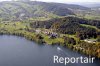 Luftaufnahme Kanton Zug/Risch/Risch Sommer - Foto RischRischufer