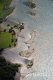 Luftaufnahme BAEDER/Urnersee Badeinseln - Foto Badeinseln Flueelen 0555
