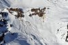 Luftaufnahme Kanton Uri/Schaechental Lawinen - Foto Schaechental Lawinen 1086
