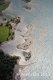 Luftaufnahme SEEN/Urnersee Inseln - Foto Badeinseln Flueelen 0554