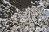 Luftaufnahme Kanton Graubuenden/Davos - Foto Davos  9358