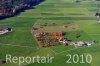 Luftaufnahme LANDWIRTSCHAFT/Landwirtschaft Kuessnacht - Foto Hof Kuessnacht 5474
