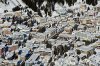 Luftaufnahme Kanton Graubuenden/Davos/Davos 2012 - Foto Davos Hotel Europa 9883
