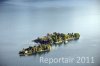 Luftaufnahme Kanton Tessin/Brissago-Inseln - Foto Brissago-Inseln 7129