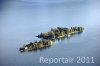 Luftaufnahme Kanton Tessin/Brissago-Inseln - Foto Brissago-Inseln 7131
