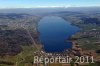 Luftaufnahme SEEN/Hallwilersee - Foto Hallwilersee 8873