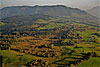 Foto 282: Hochmoor auf dem Zugerberg.