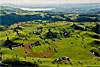 Foto 301: Eine sogenannte Moränenlandschaft bei Menzingen (ZG). Im Hintergrund der Zugersee..