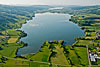 Foto 274: Der Baldeggersee nit dem Hallwilersee im Hintergrund..