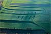Foto 151: Herbststimmung bei Eschenz (TG).