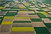 Foto 166: Felder in der La Broye - Ebene südlich vom Murtensee VD.   ..