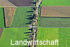 Foto 102: LANDWIRTSCHAFT.